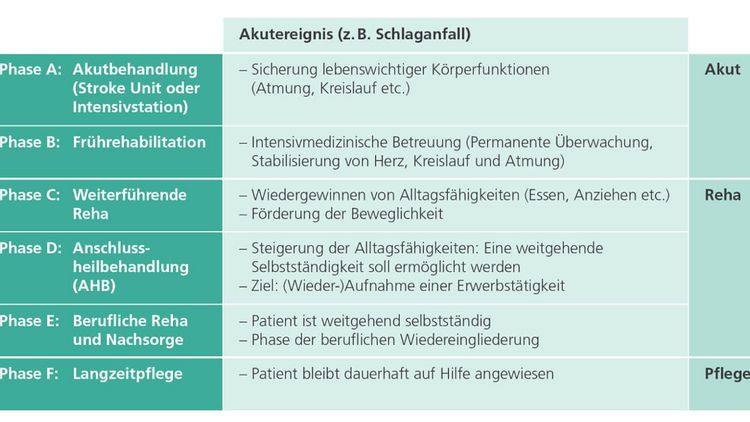 Grafische Darstellung des neurologischen Phasenmodell