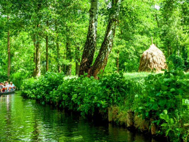 Bootsfahrt im Spreewald