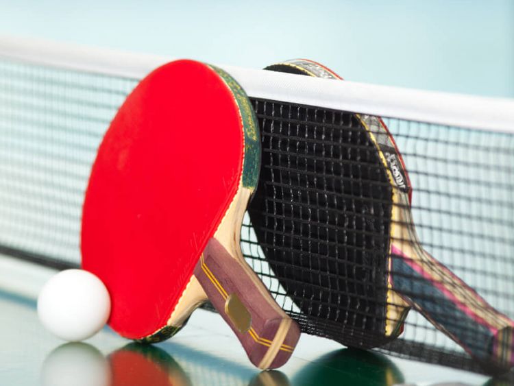 Tischtennisschläger lehnen am Netz der Tischtennisplatte