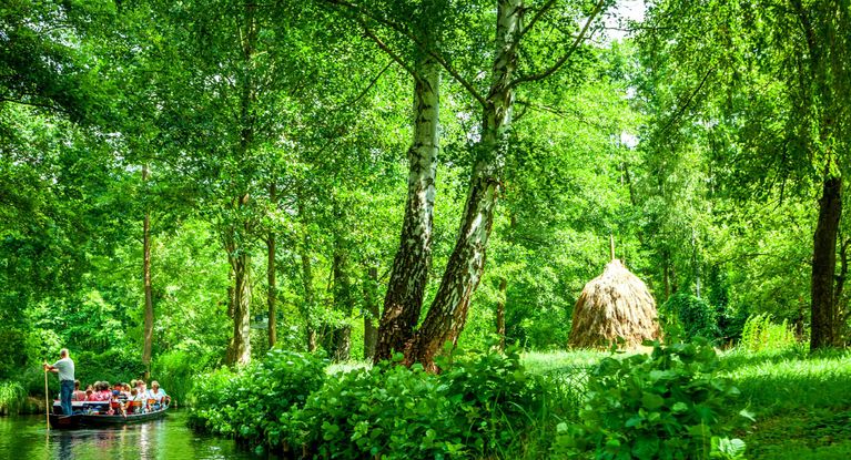 Kanufahrt im Spreewald