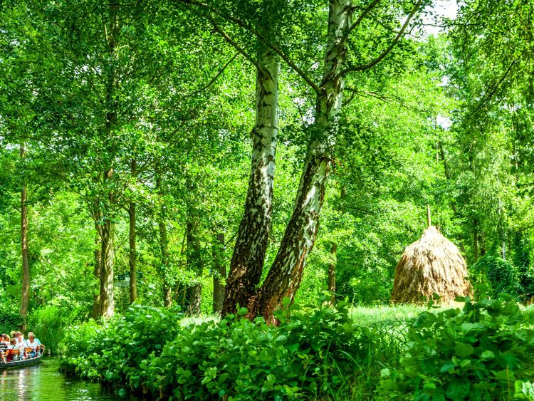 Kanufahrt im Spreewald